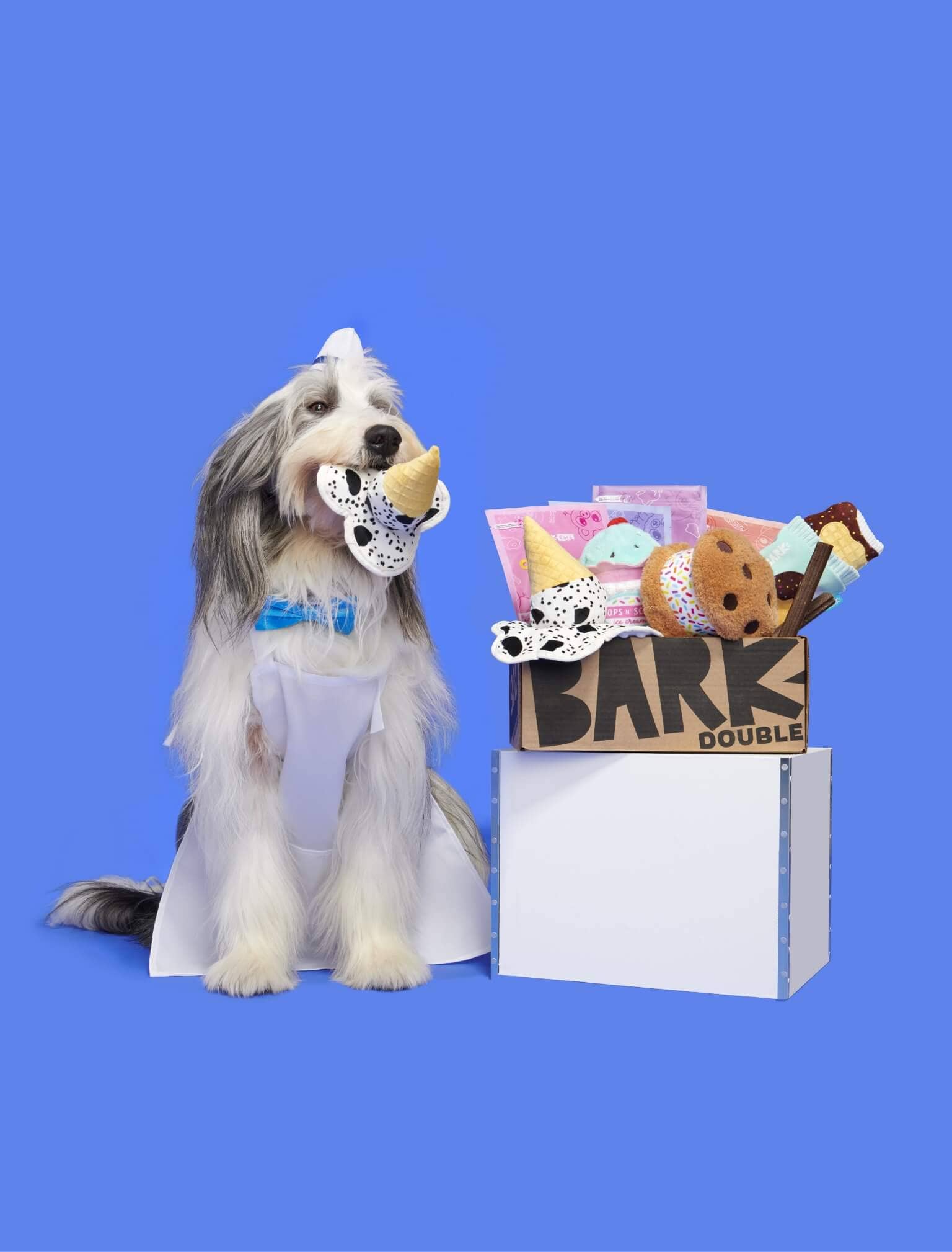 Barkbox